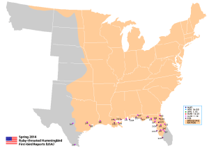 Updated hummingbird migration map.