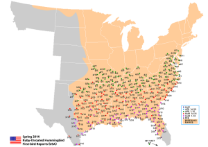 Updated hummingbird migration map