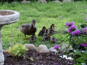 "Come on kids, we're out of here!"