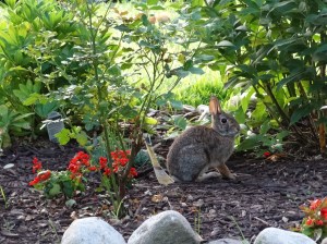 "Na na, you can't stop me!"