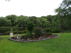 New and improved hummingbird garden, circa 2014.