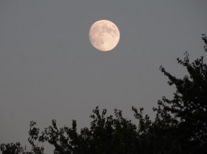 Full moon rising.