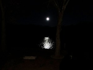 The above quote is by George Carlin, may his spirit soar as high as the moon.