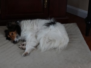 Penny, enjoying the good life.