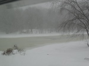 Imbolc, 2015,  on the Concord River.