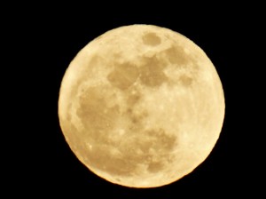 My photo of the blood moon from August, 2014.