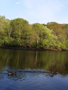 There is no way she laid all those eggs!