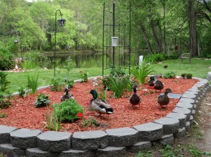 "These plants get in the way of the corn!"