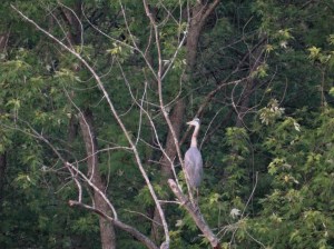 "I can see my house from here!"