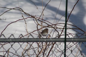 Okay, you're number one. Now don't move!