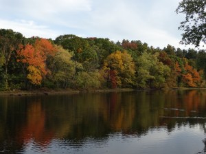 dsc02907