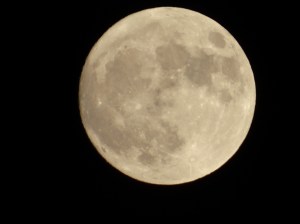 dsc03026
