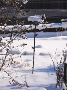 snow-snowfall on the Concord River-snow covered garden