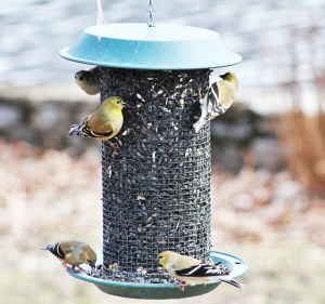 2017. You guys need to slow down a bit.