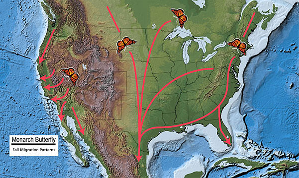 monarch butterfly migration map