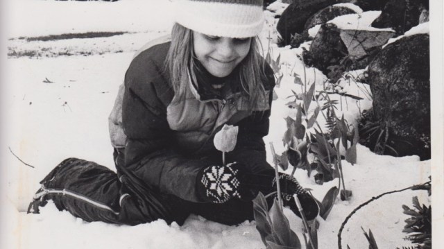 May 1977 Snowstorm in Boston