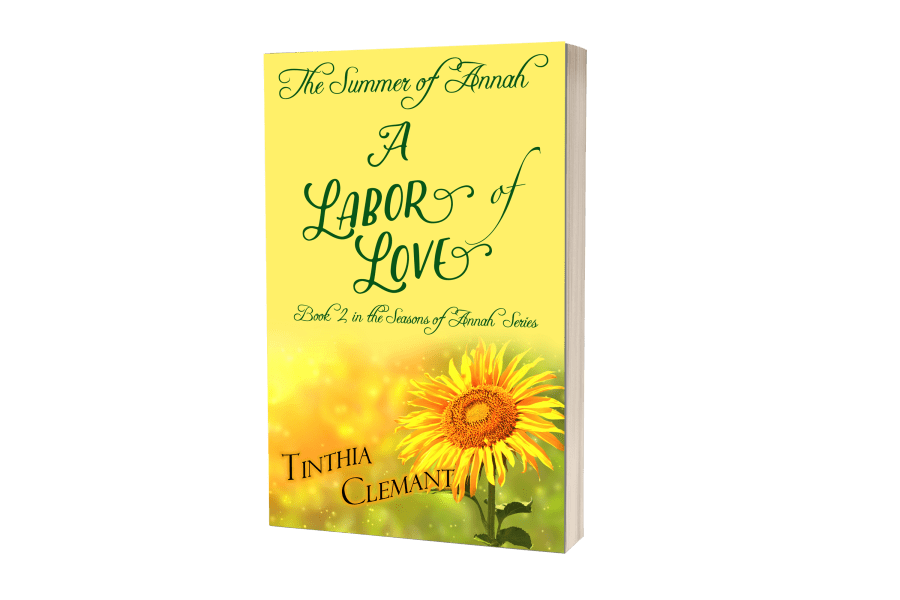 summer-romance books-contemporary books-women's fiction-hot new books