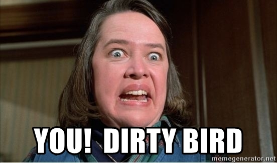 you-dirty-bird