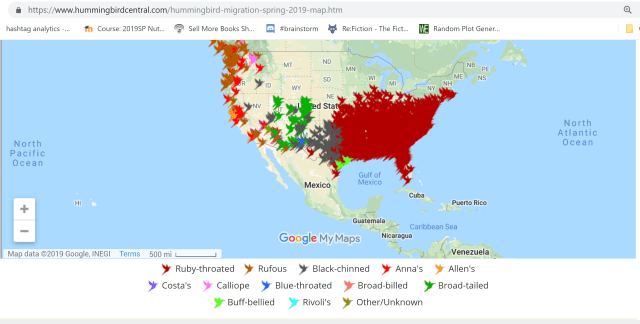 hummingbirds - migration - maps