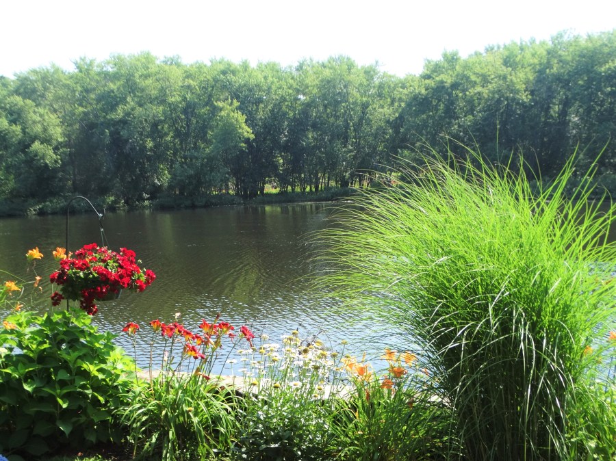 flowers - rivers - lilies - geraniums - gardens