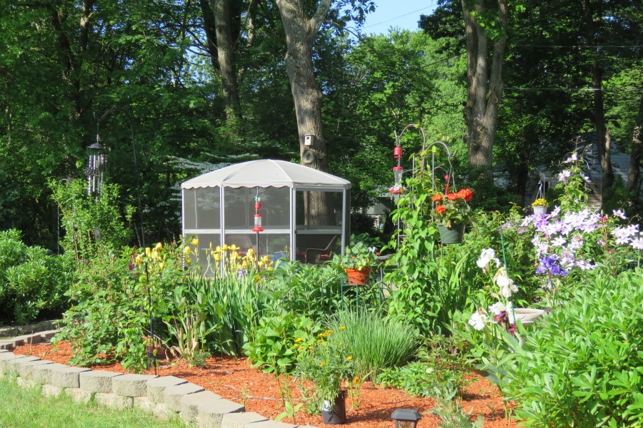 gardens - flowers - rivers - perennials