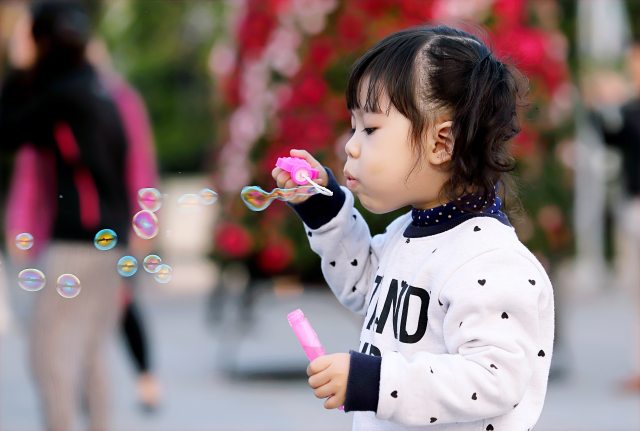 adorable-blowing-blurred-background-712141