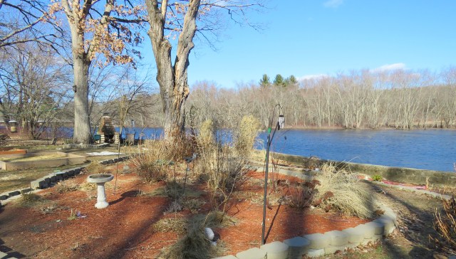 garden - flowers - spring - hay