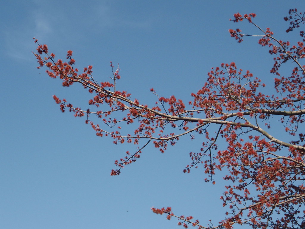 4491760928_e318bb357a_b