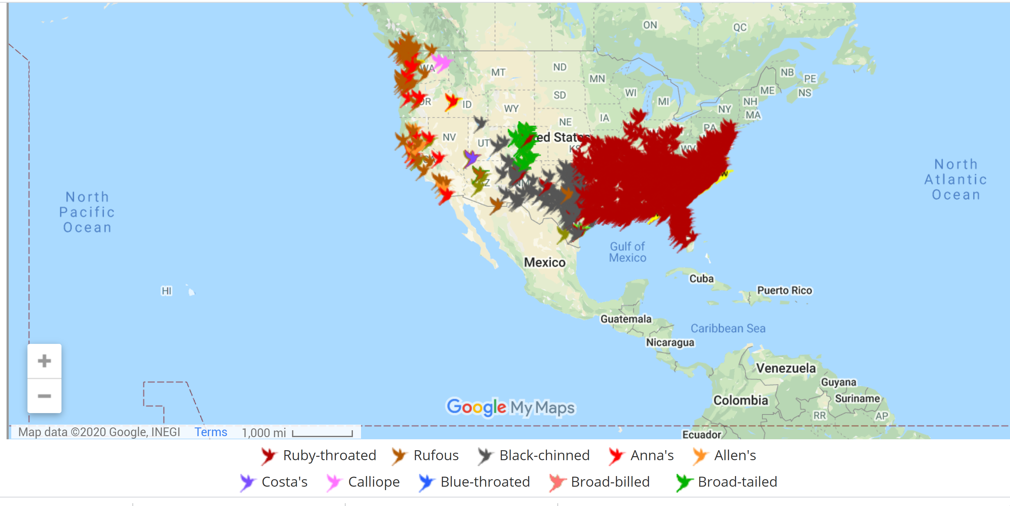 Ruby-Throated Hummingbird migration map