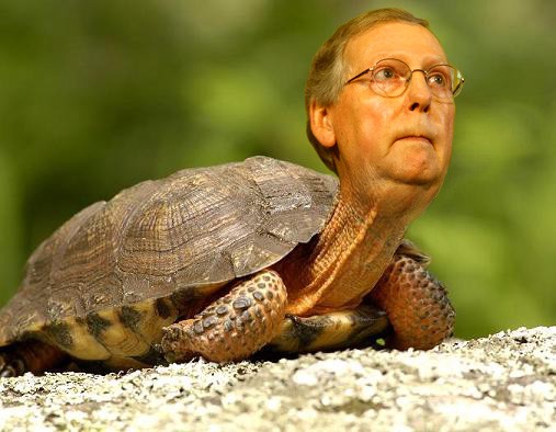 Mitch McConnell