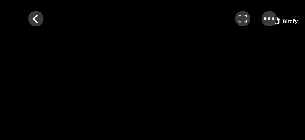 Screenshot of a malfunctioning camera display showing a black screen, indicating the issue with the Netvue Birdfy Birdfeeder Camera system.