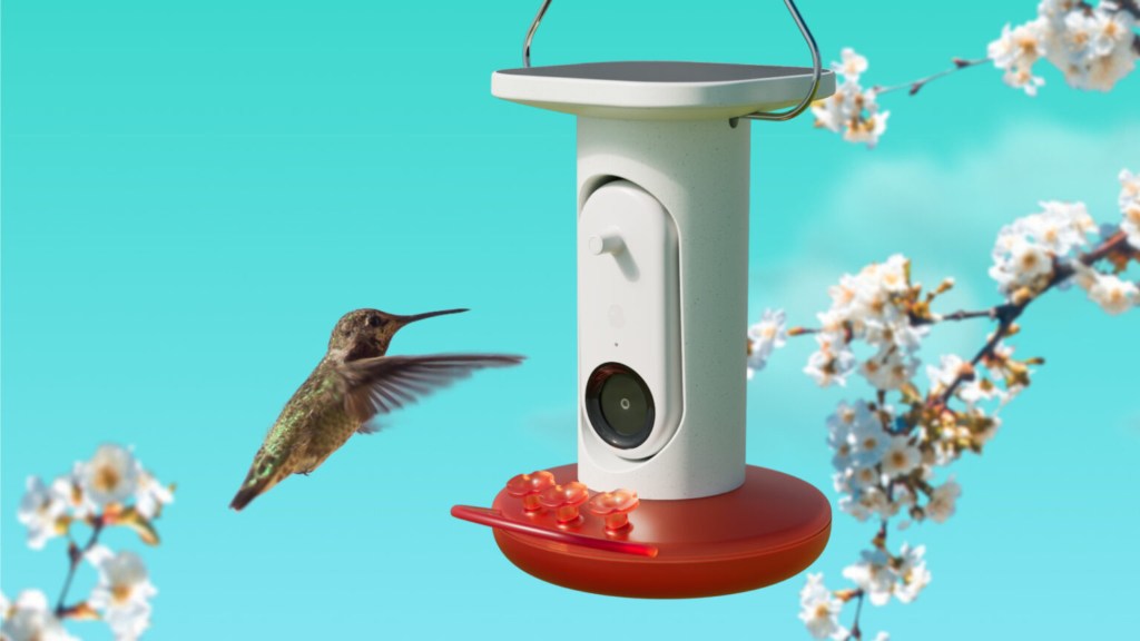 A hummingbird hovering near a modern feeder with a red base and a white top against a bright turquoise background with floral elements.