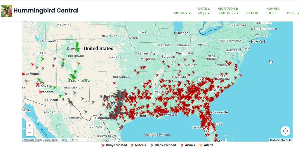 A map of the United States showing hummingbird migration patterns with various colored markers indicating different species sightings.