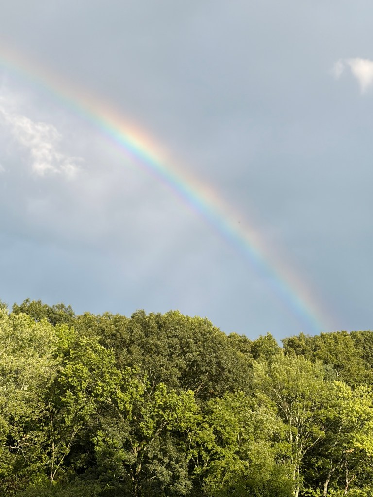 A vibrant rainbow arching over lush green trees under a cloudy sky.