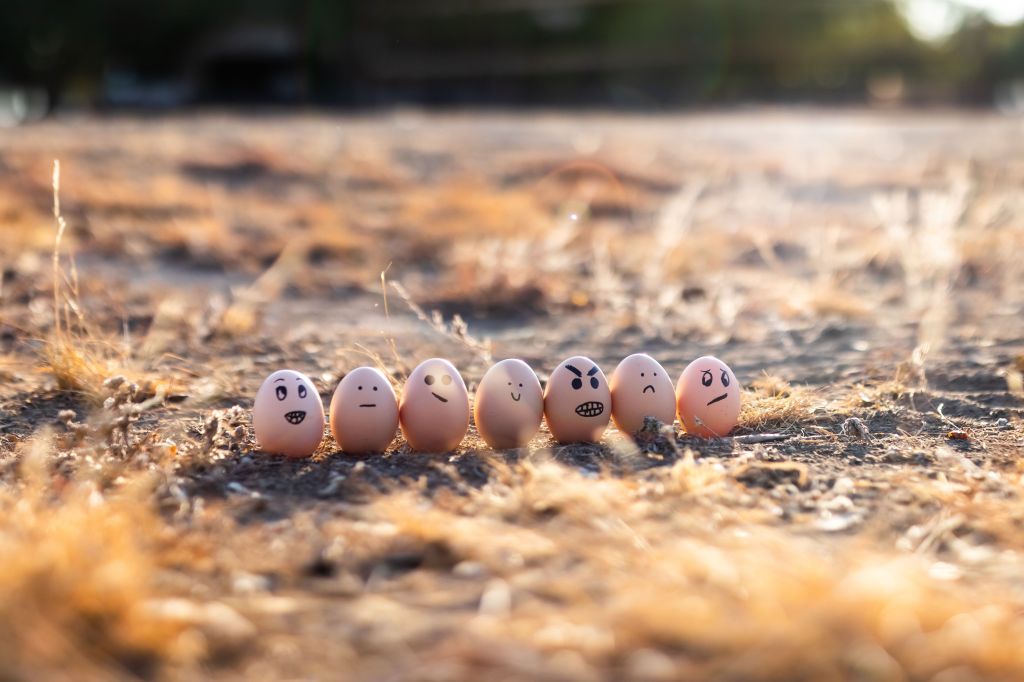A line of eight decorative eggs with various drawn facial expressions, placed on a sandy ground with dry grass in the background.